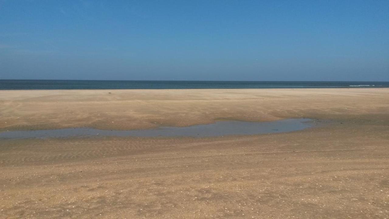 Vitamin Sea Хемскерк Экстерьер фото